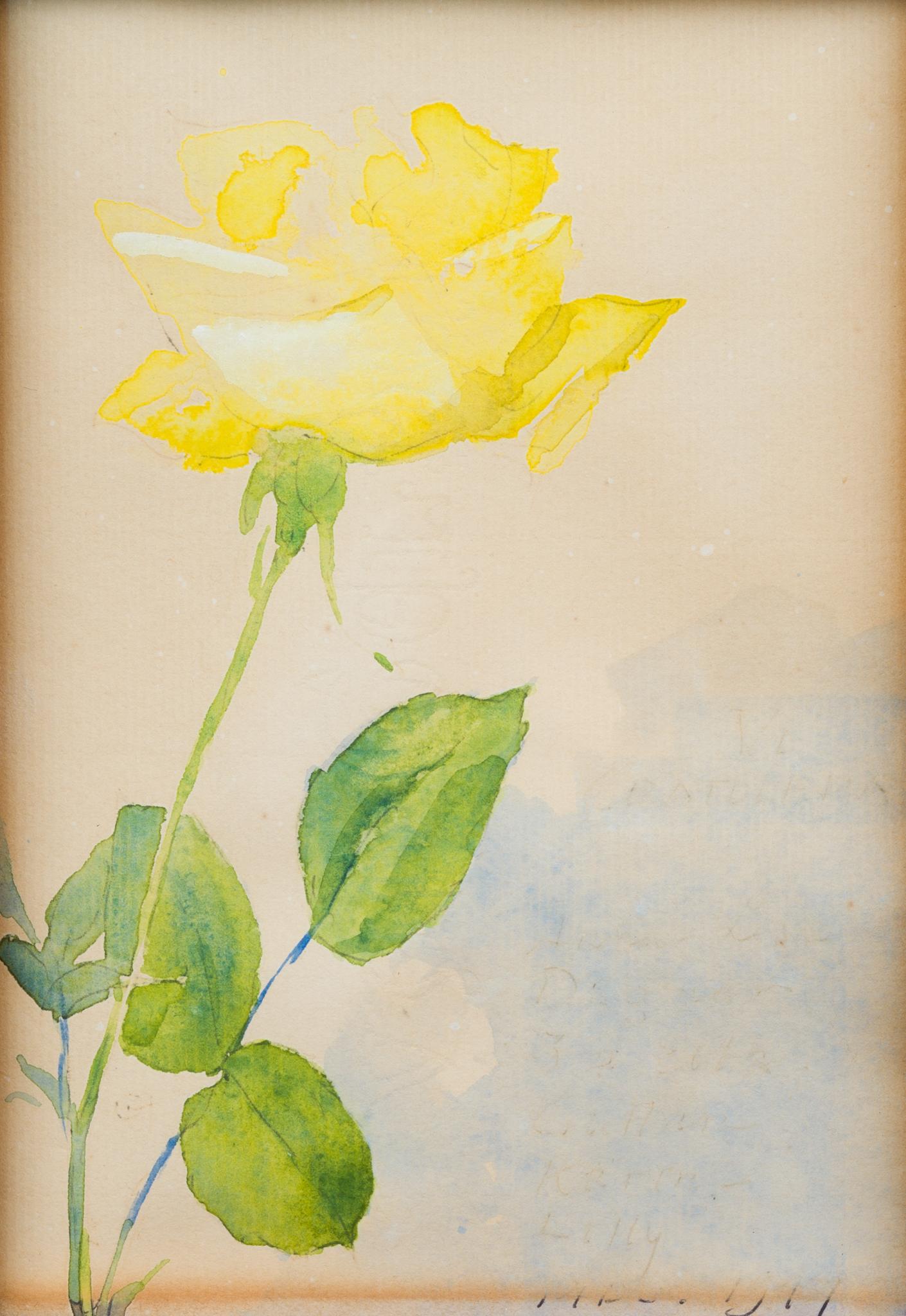 We are thrilled to present a watercolor by the Swedish artist Olle Hjortzberg. This small yet exquisite piece, painted in 1917, portrays a solitary yellow rose in vibrant, delicate strokes. One thing that sets this watercolor apart is that it is