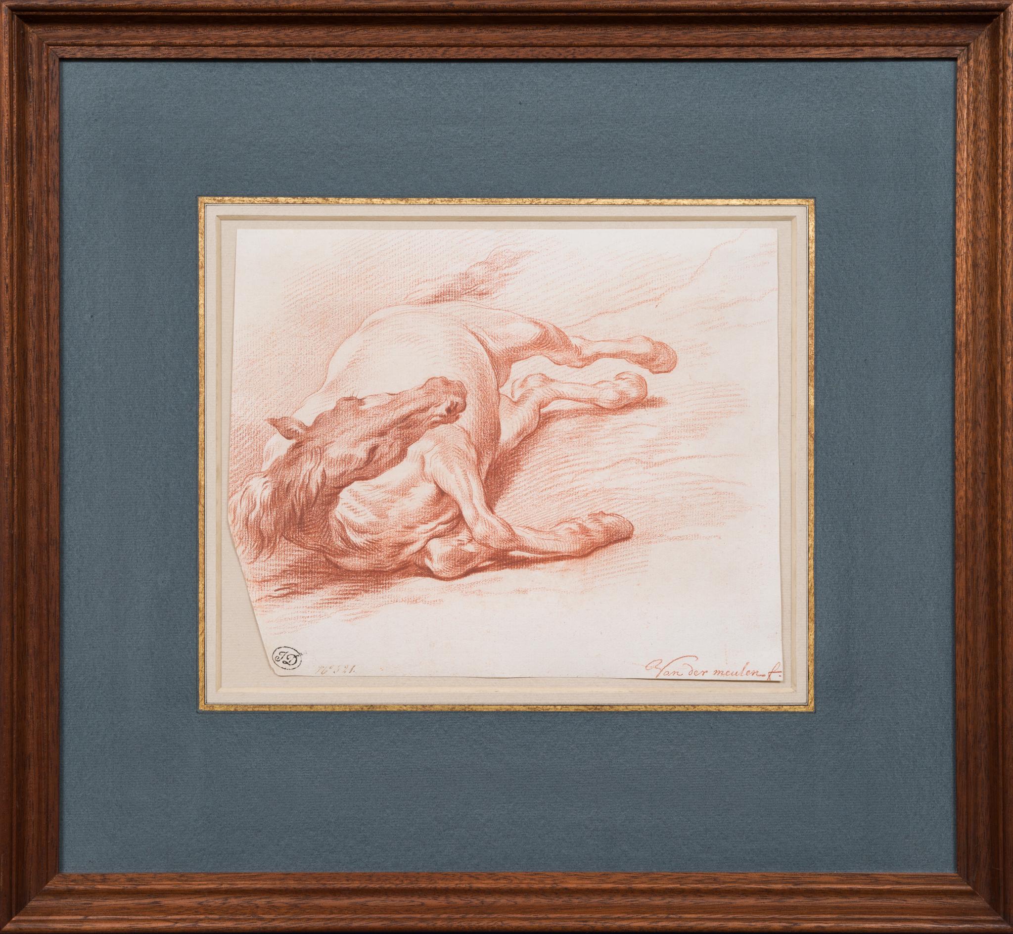 Estudio de un caballo tumbado sobre su lado derecho visto de frente - Art de Adam Frans van der Meulen
