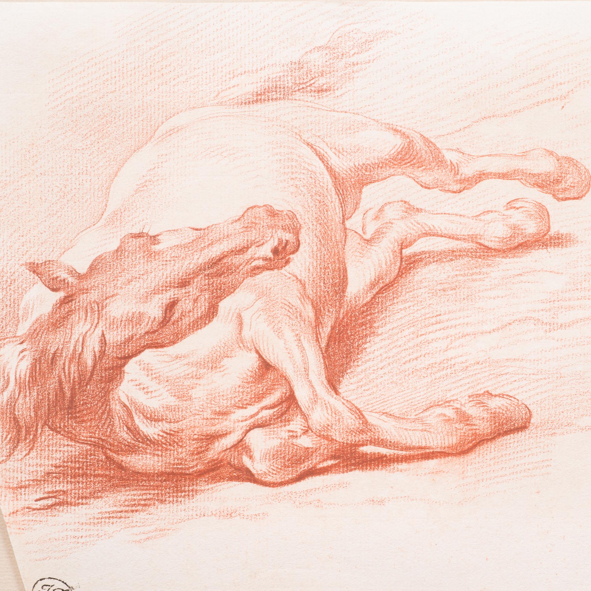Estudio de un caballo tumbado sobre su lado derecho visto de frente - Figurative Art Blanco de Adam Frans van der Meulen