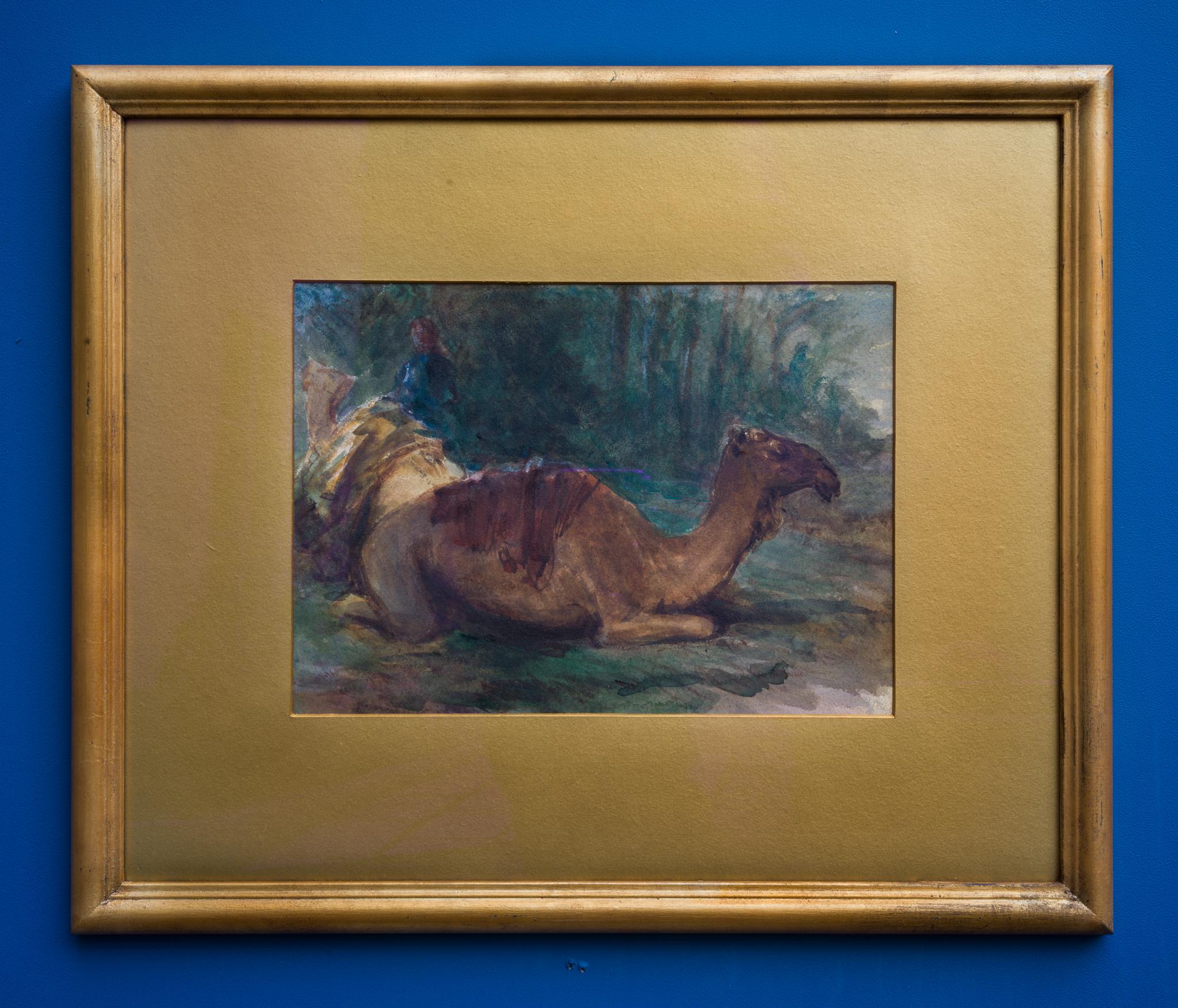 Dromedar a riposo, 1861 in vendita 1