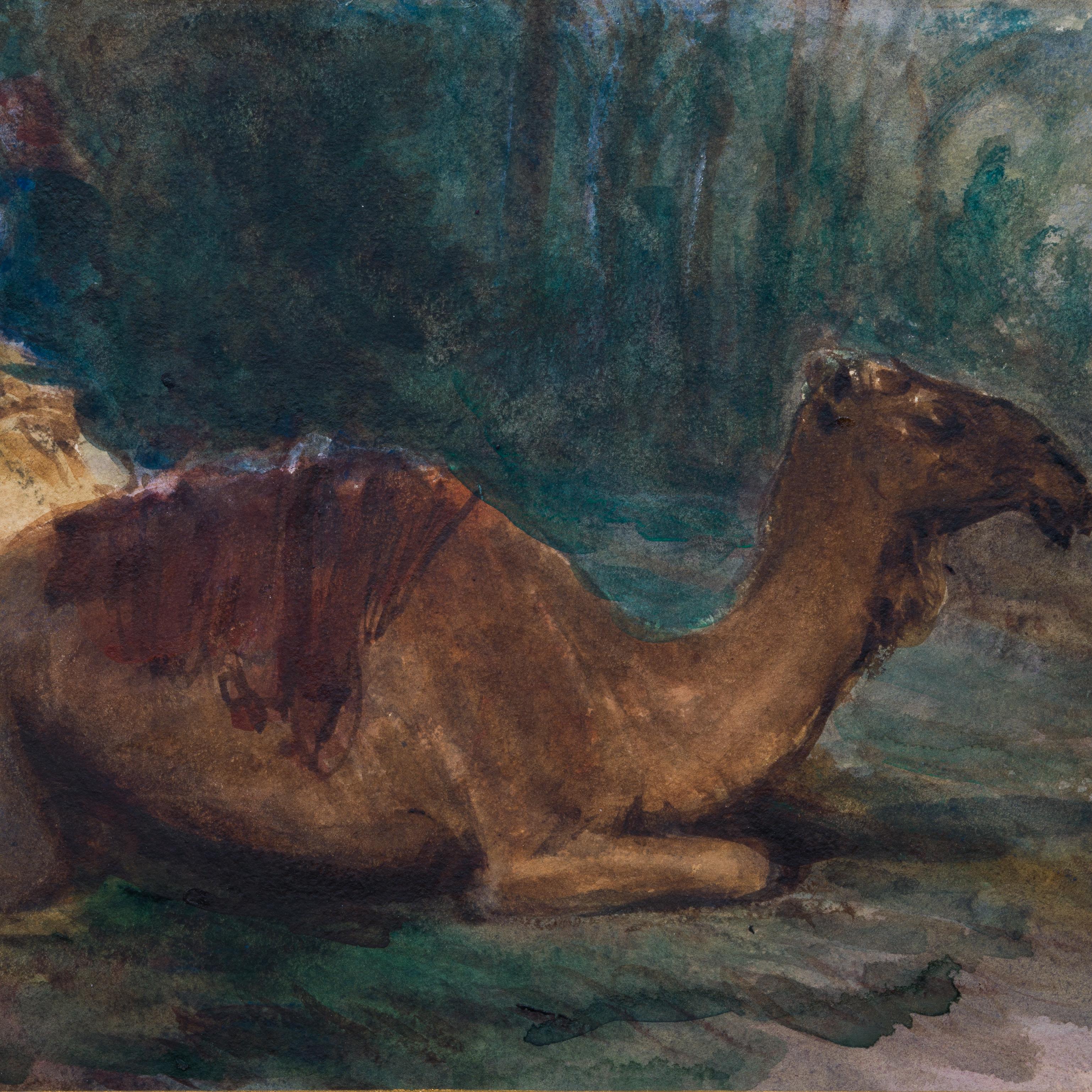 Dromedar a riposo, 1861 in vendita 2