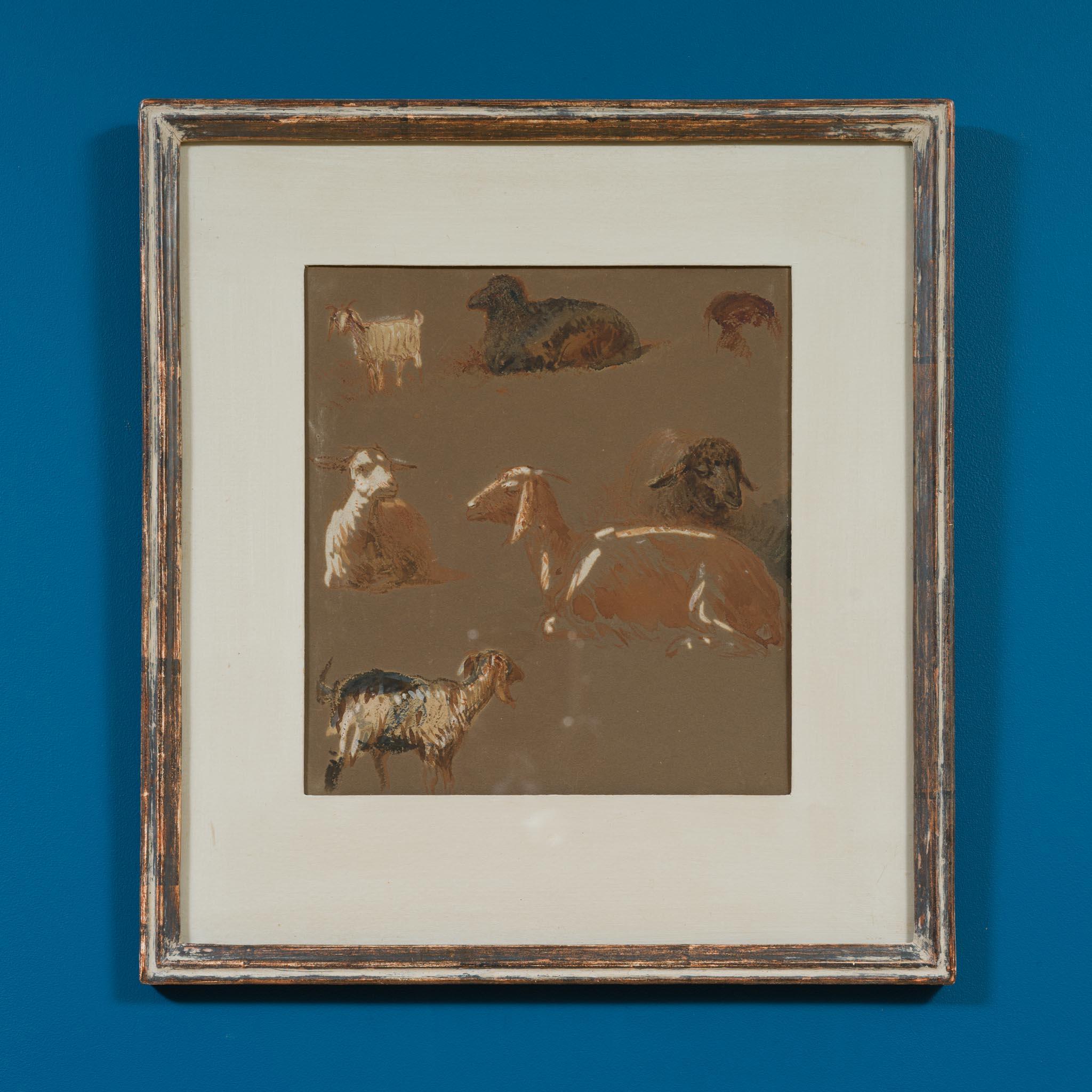 Ziegen und Schafe in verschiedenen Posen, Kairo (um 1871) im Angebot 9