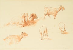 Studi di capre e pecore, Il Cairo (c. 1871)