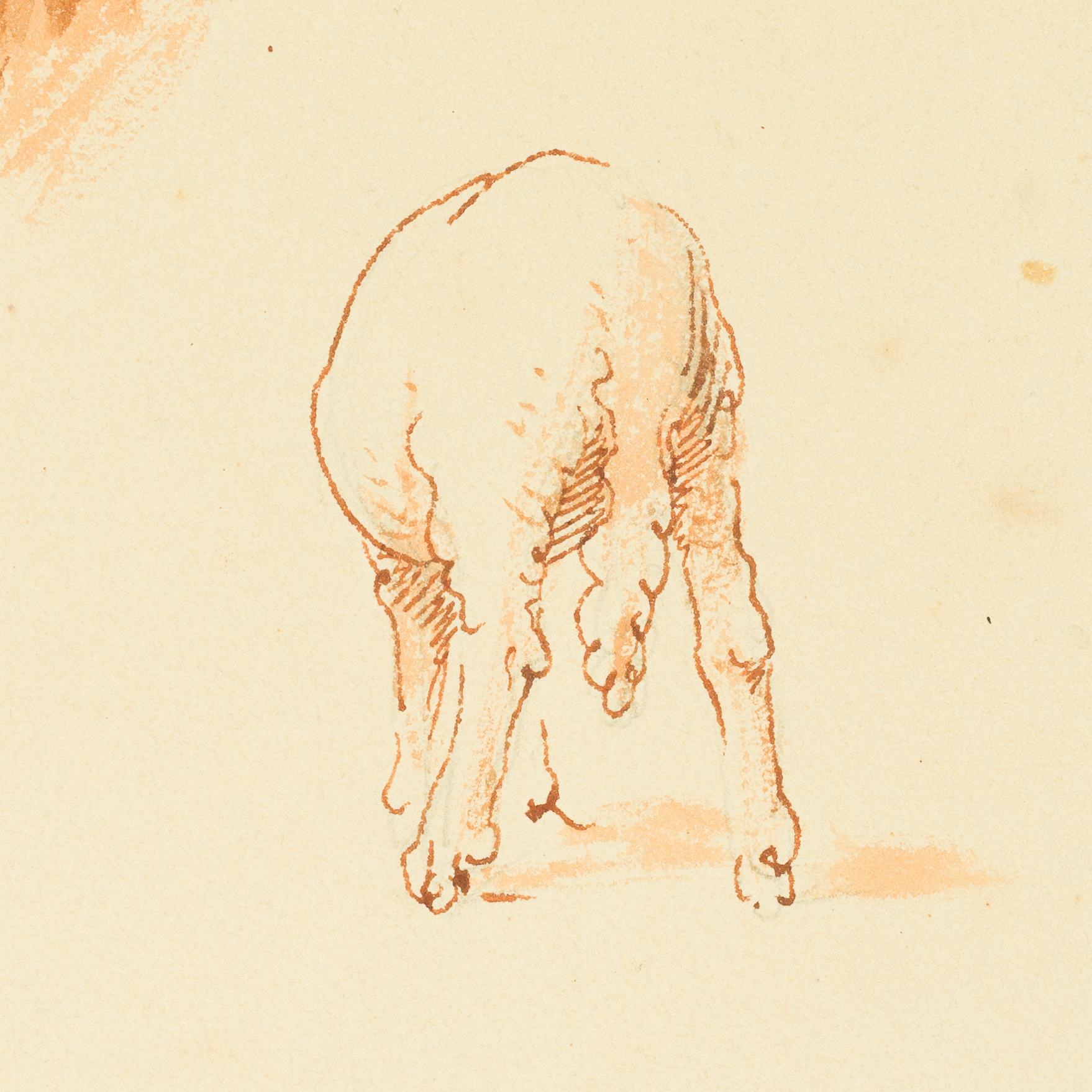 Studien von Ziegen und Schafen, Kairo (um 1871) im Angebot 3