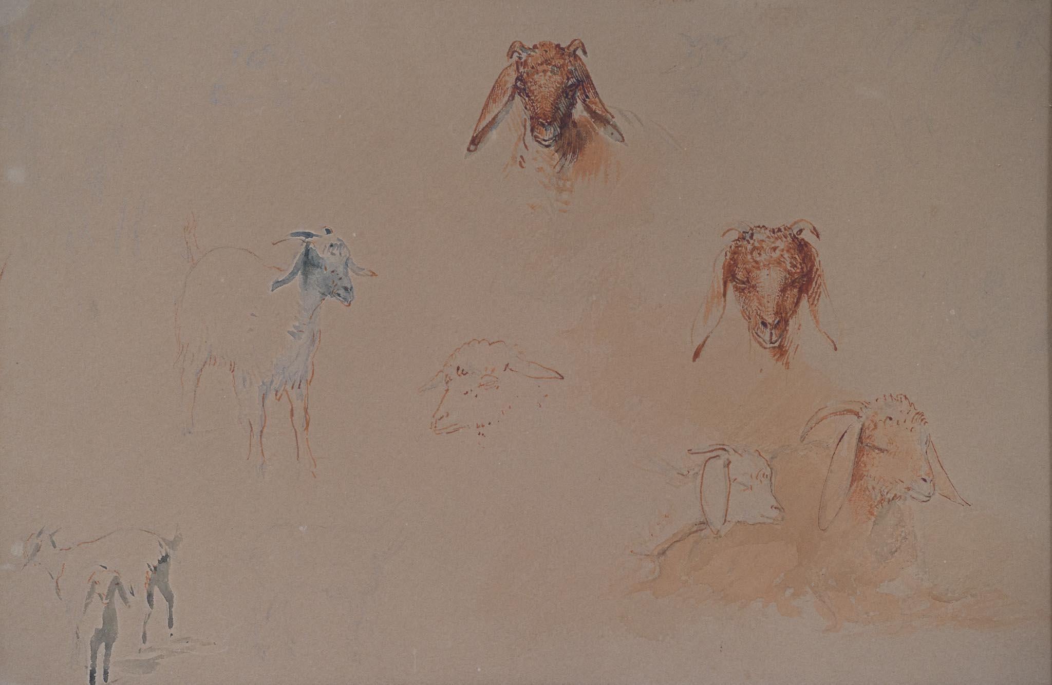 Estudios de cabezas y figuras de cabra, El Cairo (c. 1871) en venta 1