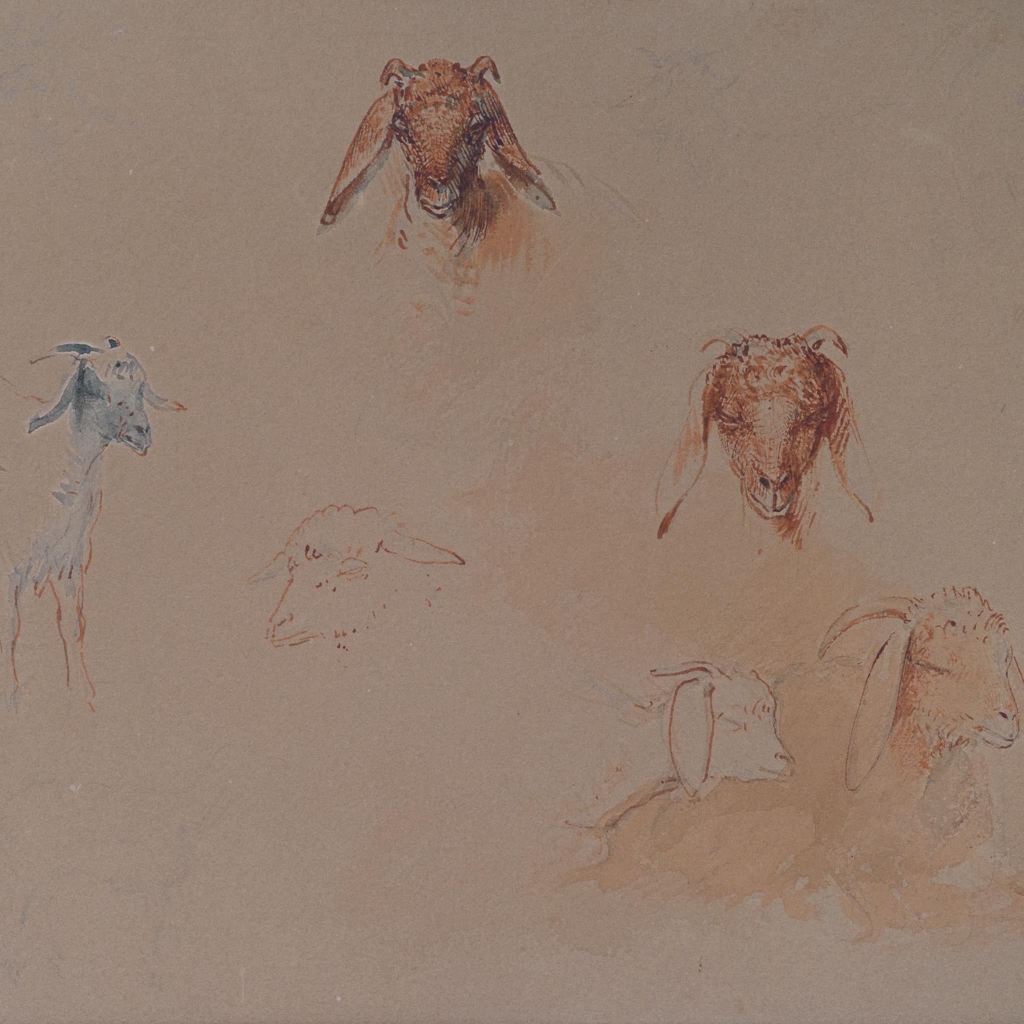 Estudios de cabezas y figuras de cabra, El Cairo (c. 1871) en venta 2