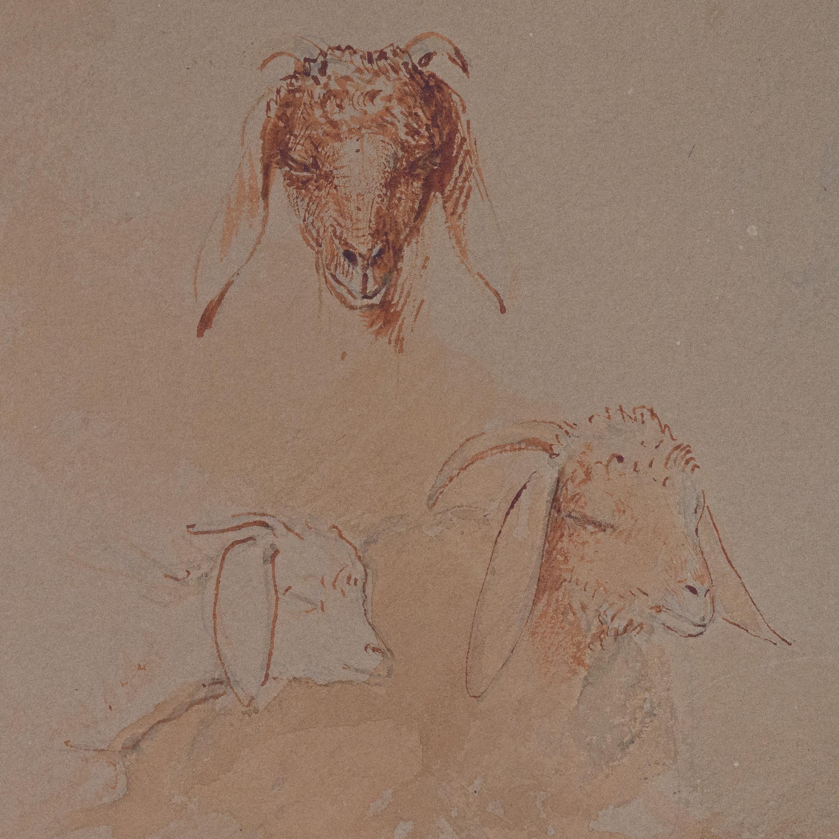 Here Lundgren concentrates on individual studies of goats, especially their heads and expressions. In one sketch, a goat faces forward, its distinctive long ears and gentle features carefully rendered. Other small drawings show side views and a pair