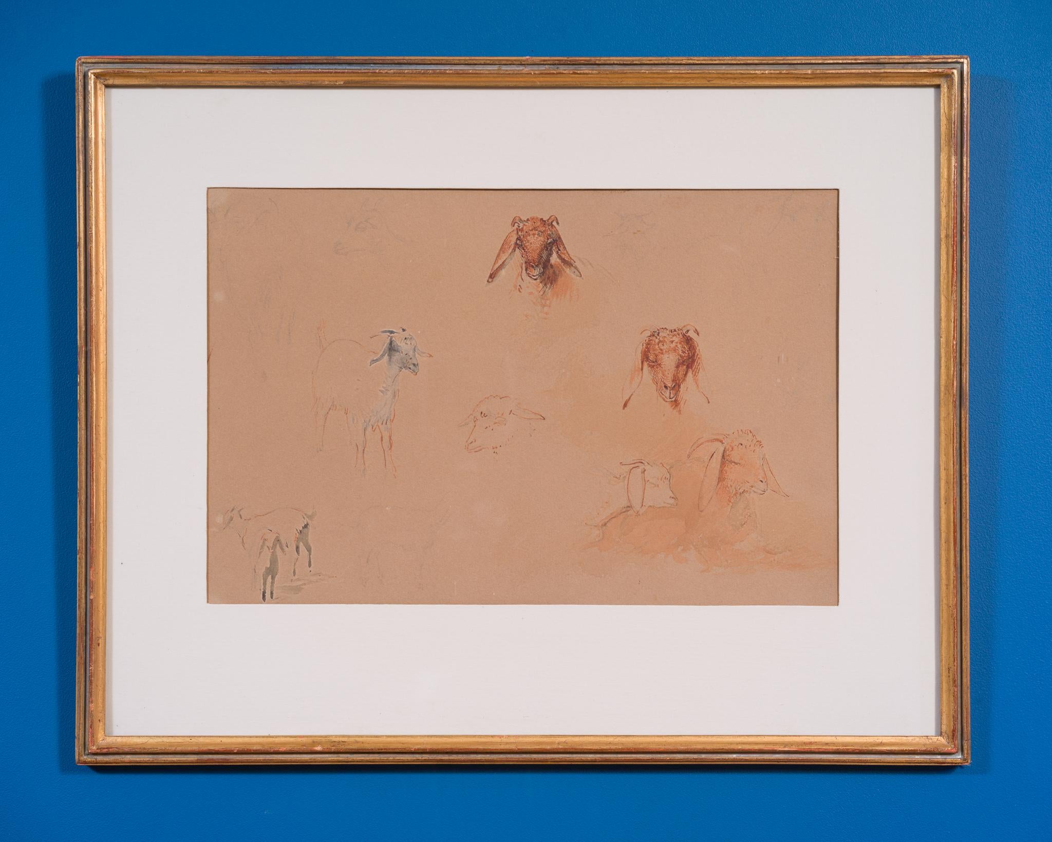 Estudios de cabezas y figuras de cabra, El Cairo (c. 1871) en venta 4