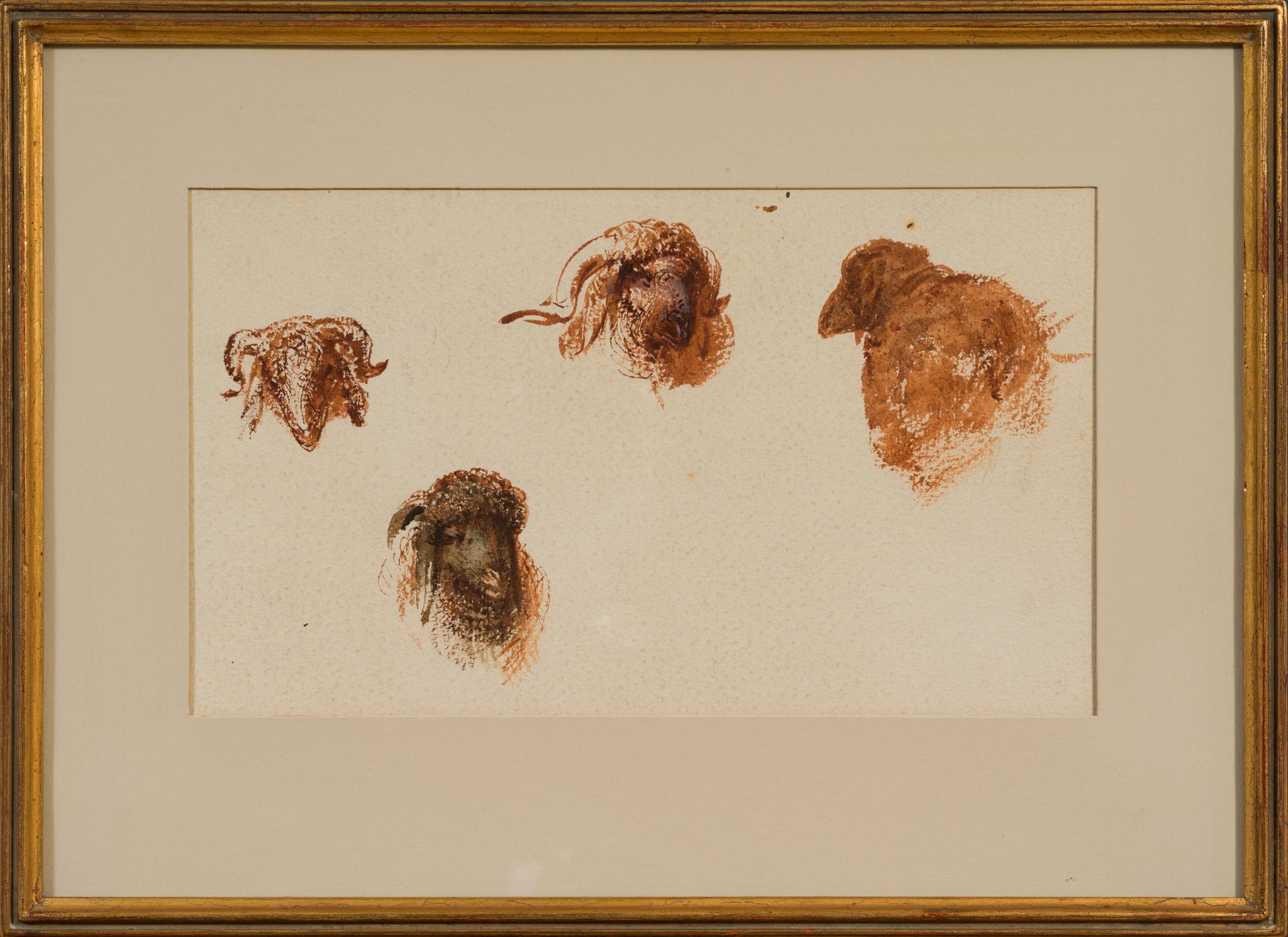 Études de têtes de moutons et de chèvres, Le Caire (c. 1871) - Réalisme Art par Egron Sellif Lundgren