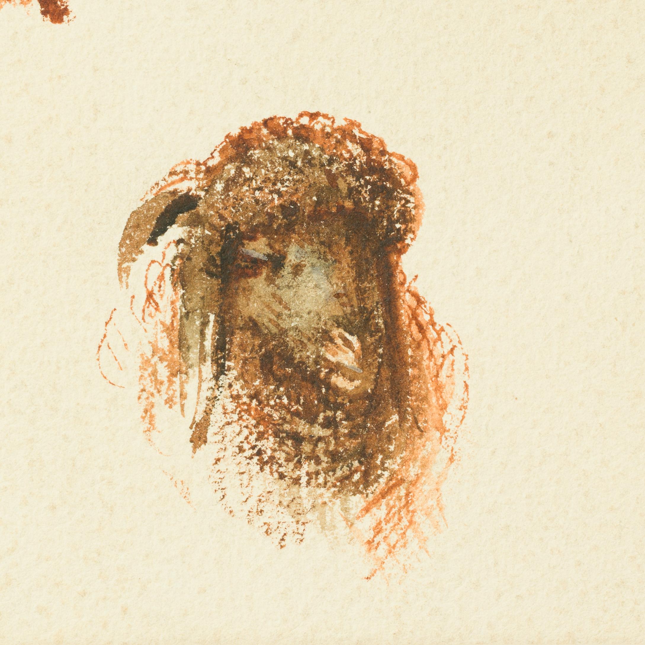 Études de têtes de moutons et de chèvres, Le Caire (c. 1871) en vente 1
