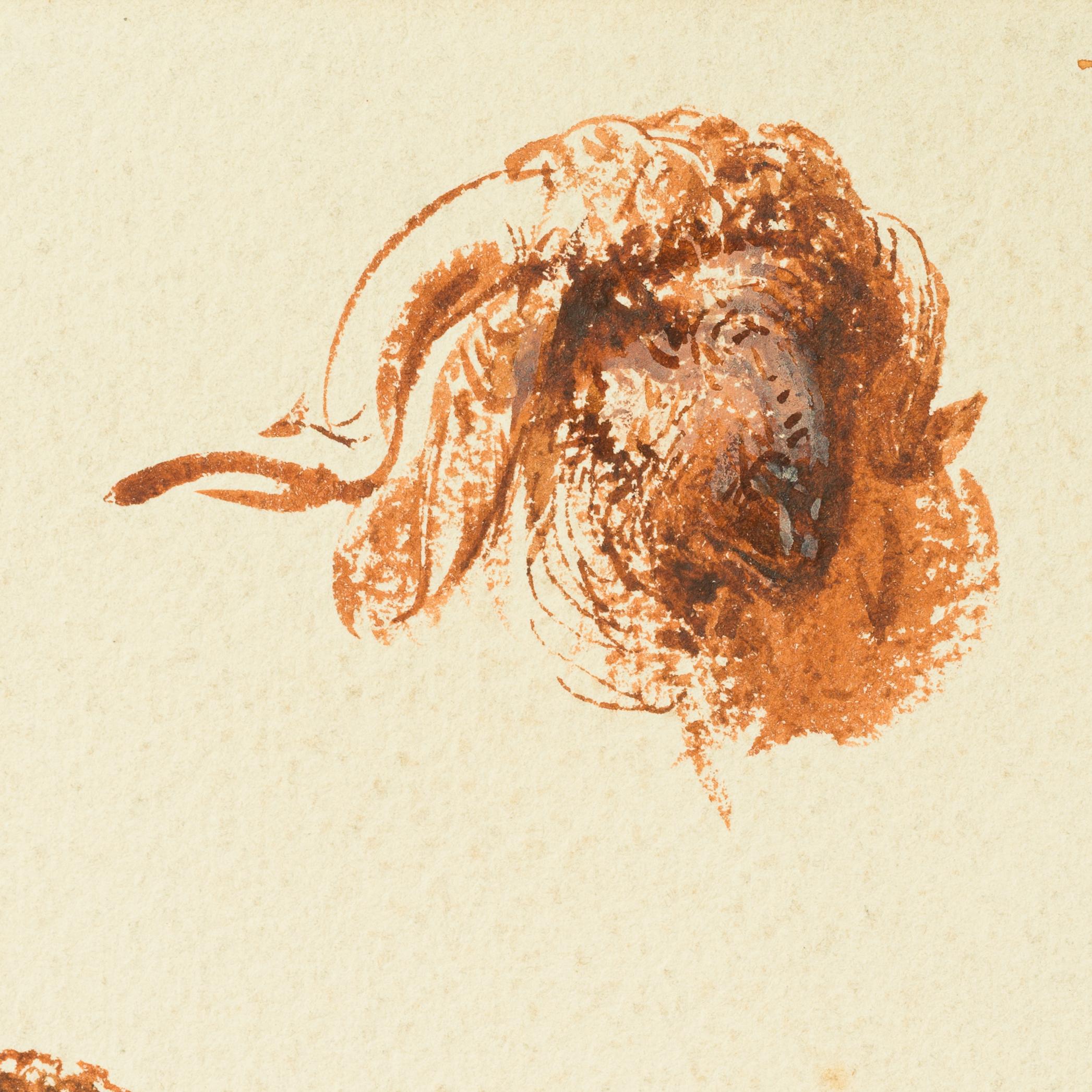 Études de têtes de moutons et de chèvres, Le Caire (c. 1871) en vente 2