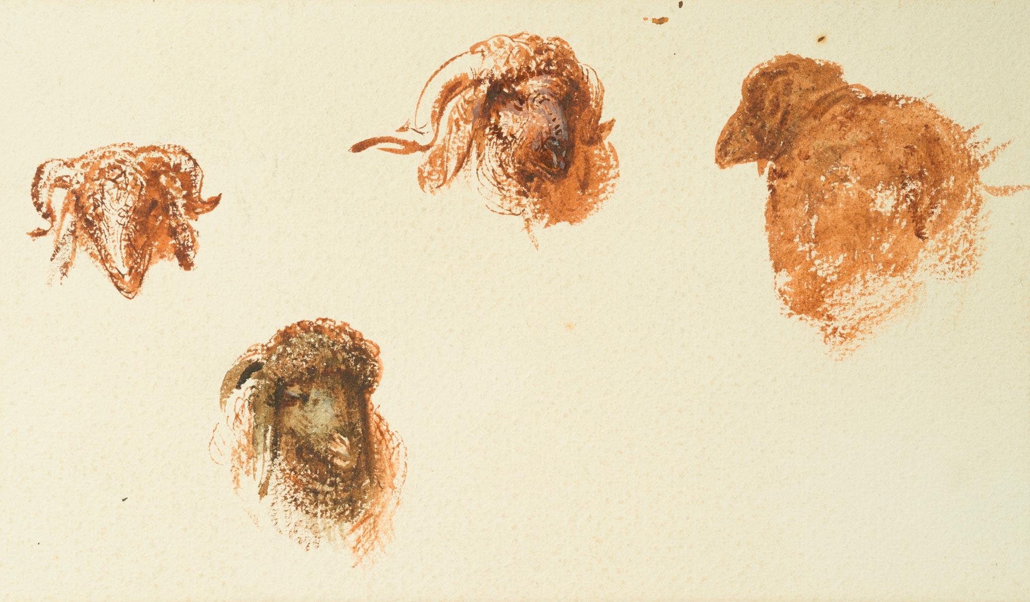 Études de têtes de moutons et de chèvres, Le Caire (c. 1871) en vente 5
