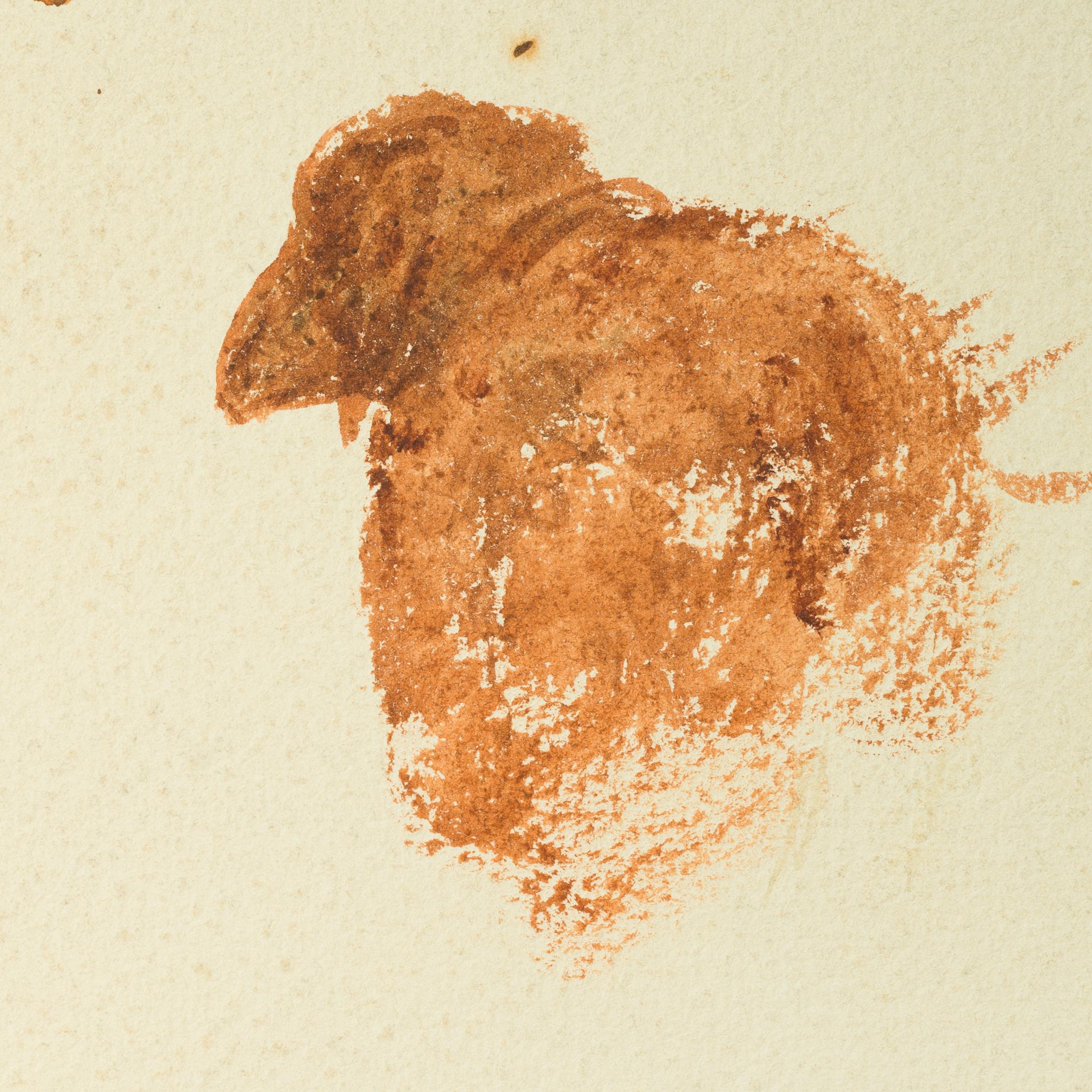 Cette feuille présente quatre études en gros plan centrées sur des têtes de chèvres ou de moutons. La tête de chaque animal est dessinée sous un angle différent : un profil met en évidence une paire de cornes incurvées, tandis qu'un autre visage est