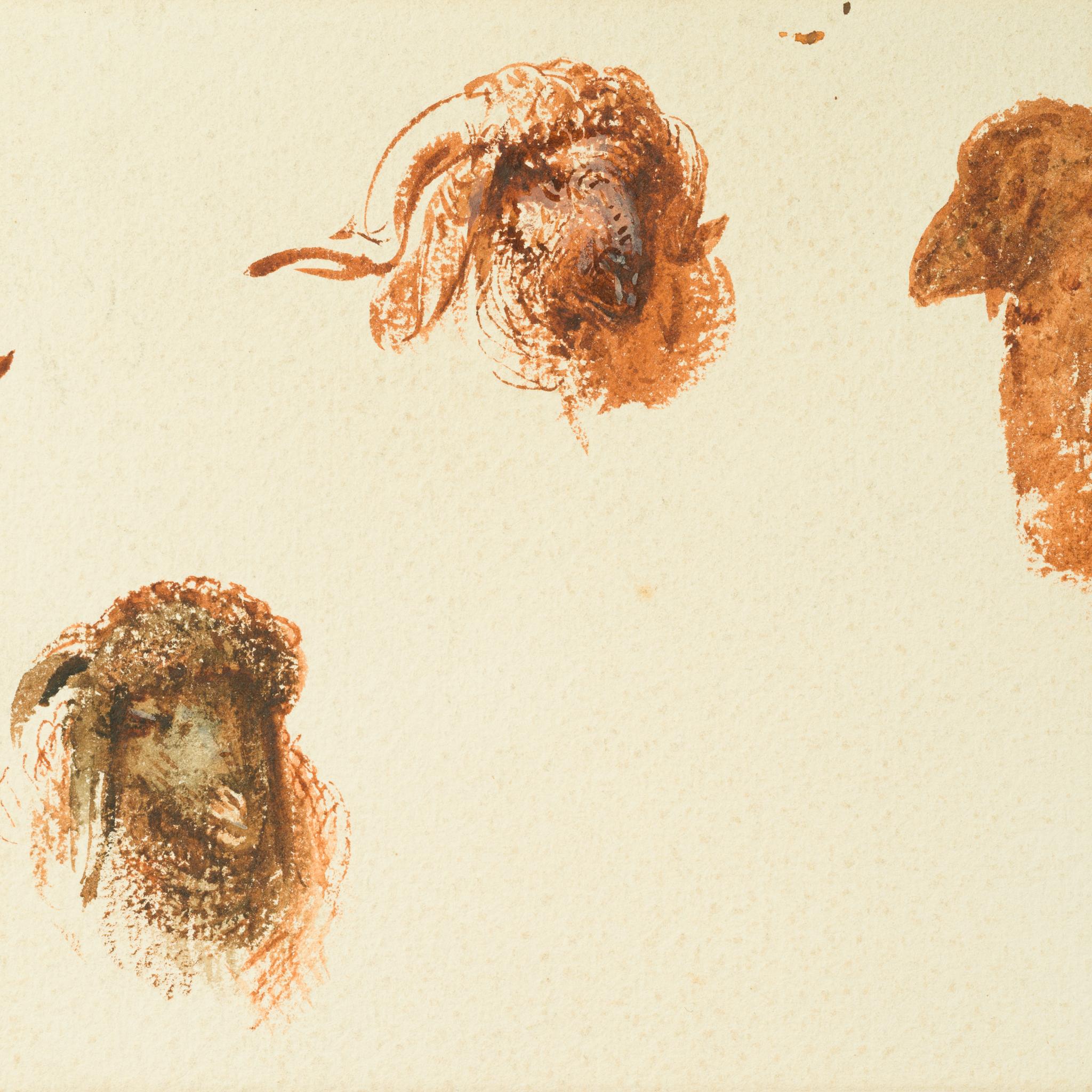 Études de têtes de moutons et de chèvres, Le Caire (c. 1871) en vente 4