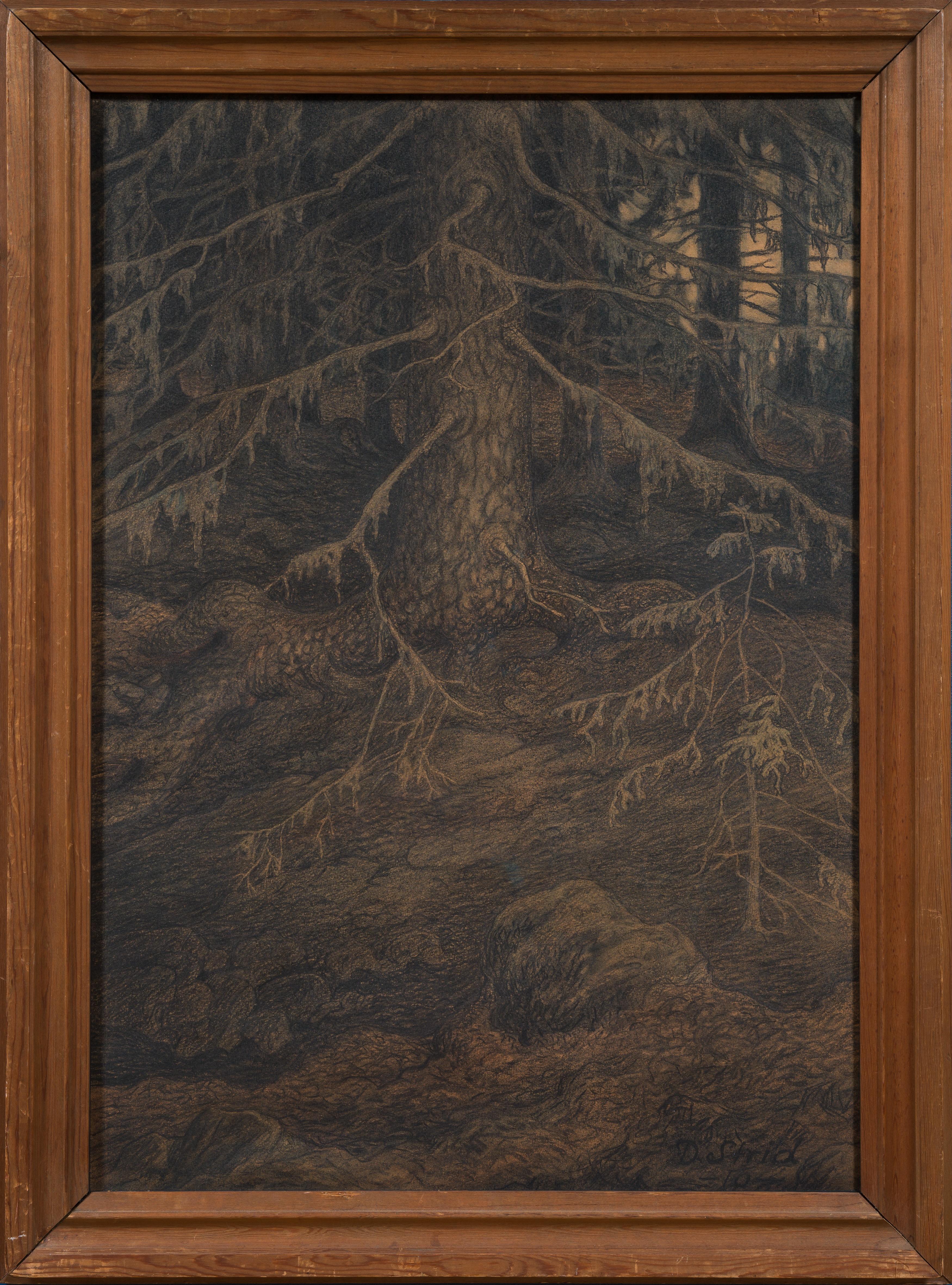 This charcoal drawing from 1910 is an unusually powerful example of David Cronholm’s ability to transform a forest motif into something at once precise, immersive and deeply atmospheric. A great spruce dominates the composition, its trunk rising