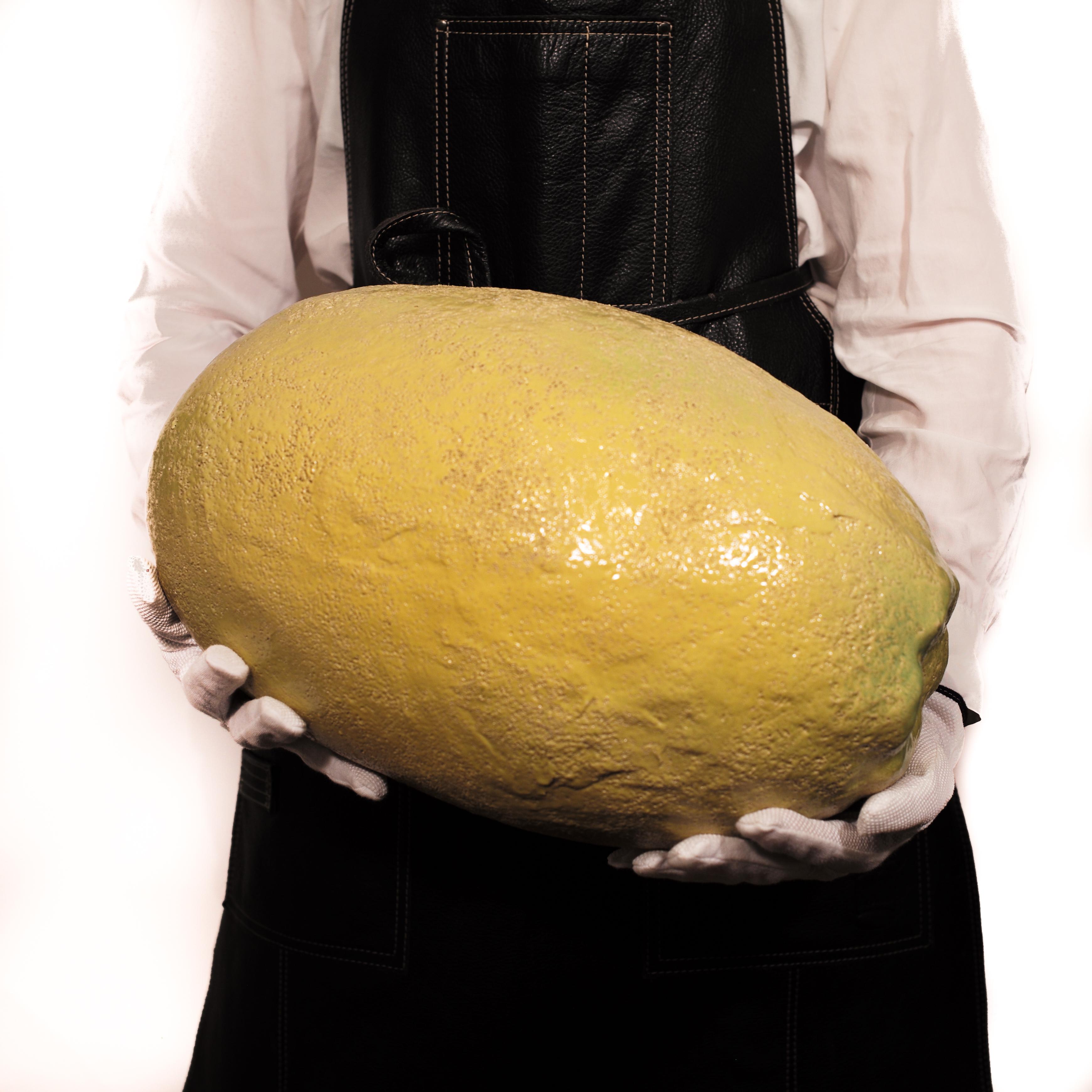 Large Lemon Sculpture made by Kjell Janson, Sweden. c.2011 2