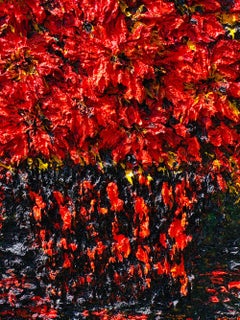 Helen Petri –  Mystic Night – Original Oil Painting