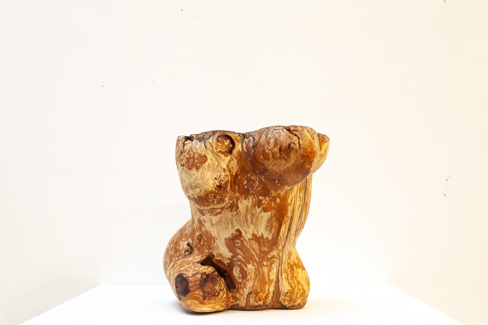 Alison McGechie Abstract Sculpture - Torso