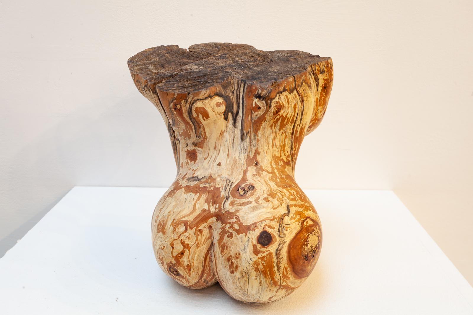 Torso in vendita 2