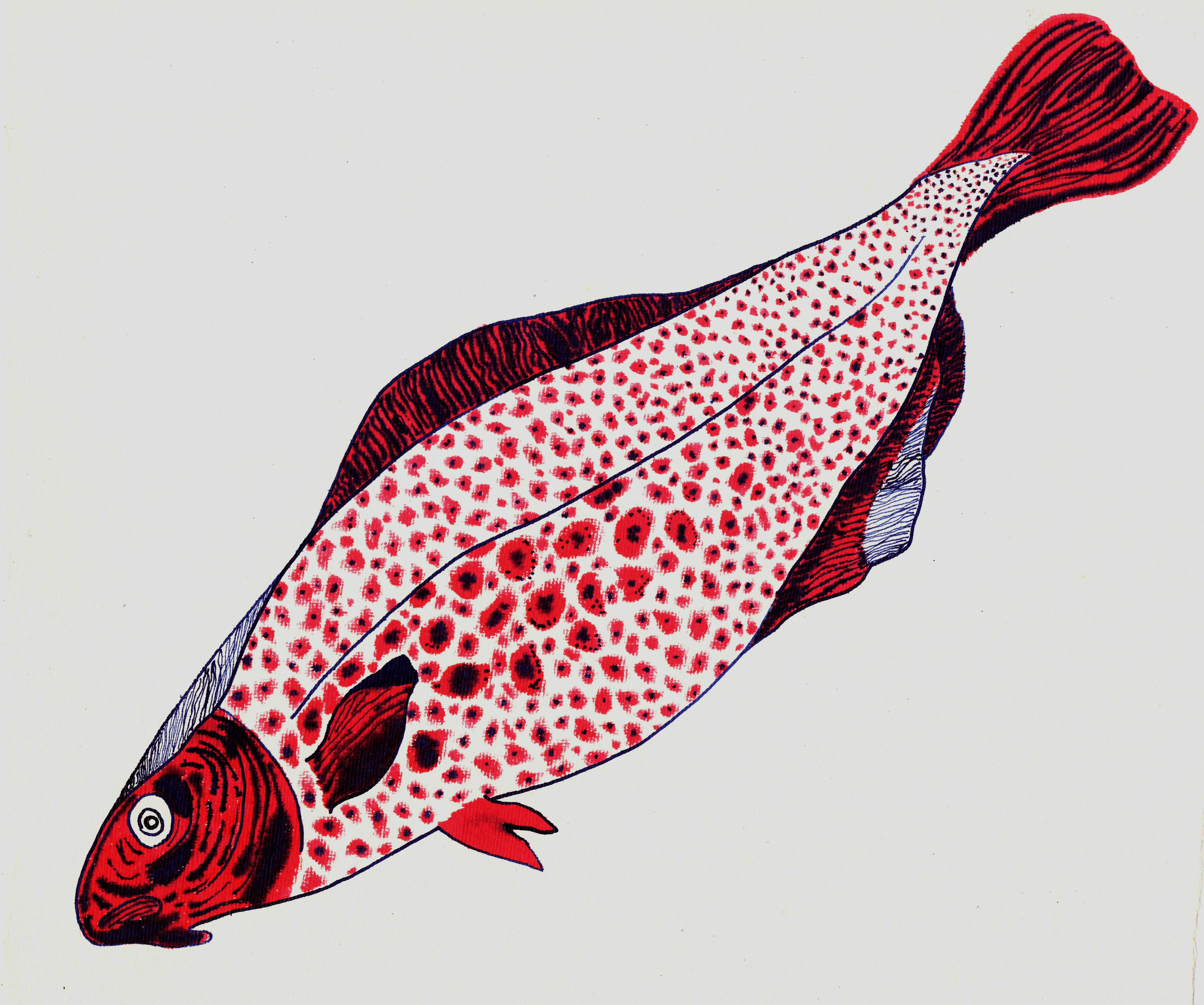 Rufus Newell Still-Life - Fish
