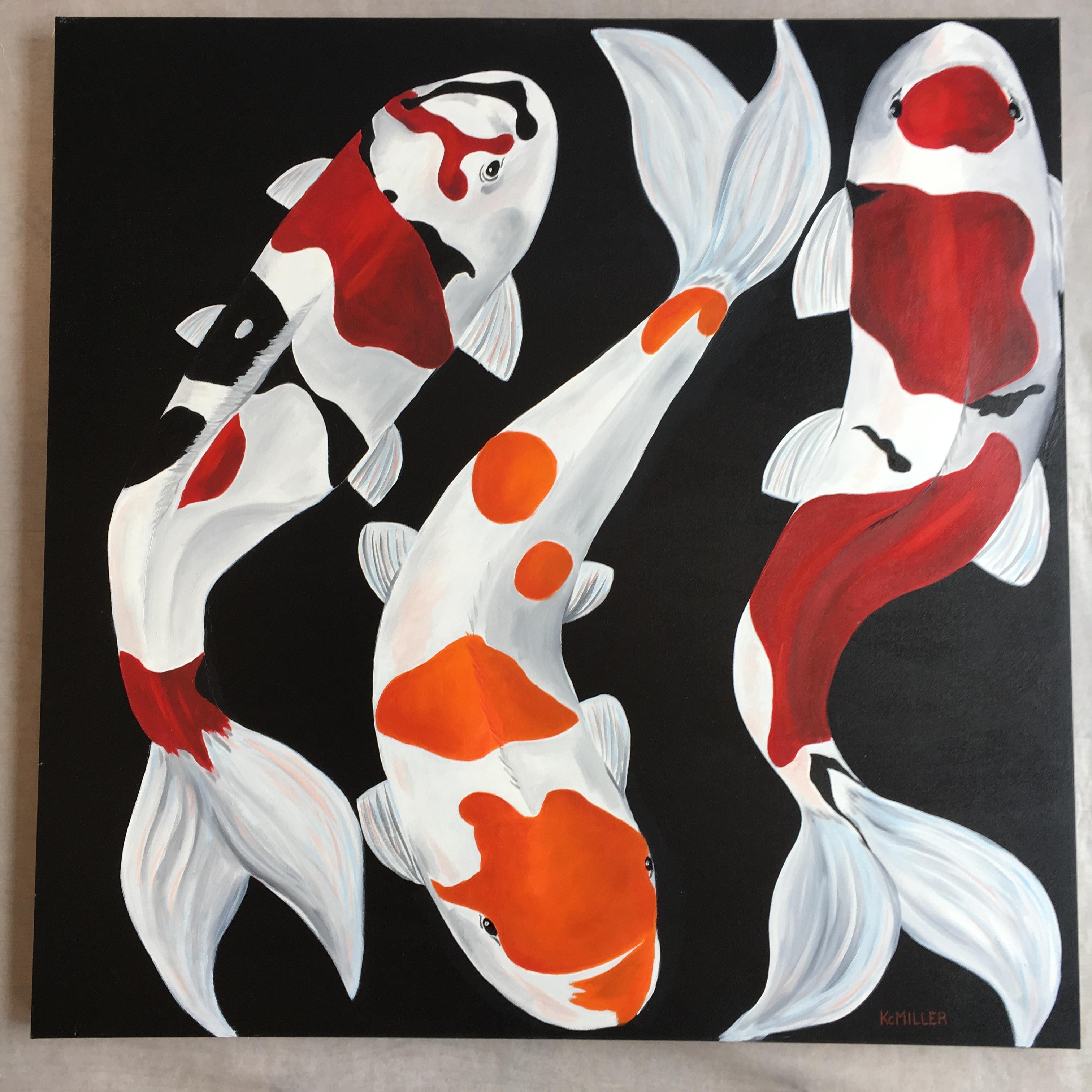 american koi
