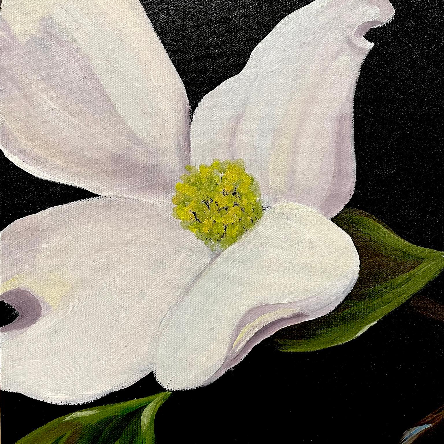 Ken Miller Still-Life Painting - White Flowers and Green Leaves against a Black Background. Title - Wild Dogwood