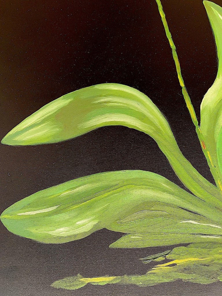 White Petals Standing on Tall Stems over Green Leaves. Title - Orchids - Painting by Ken Miller
