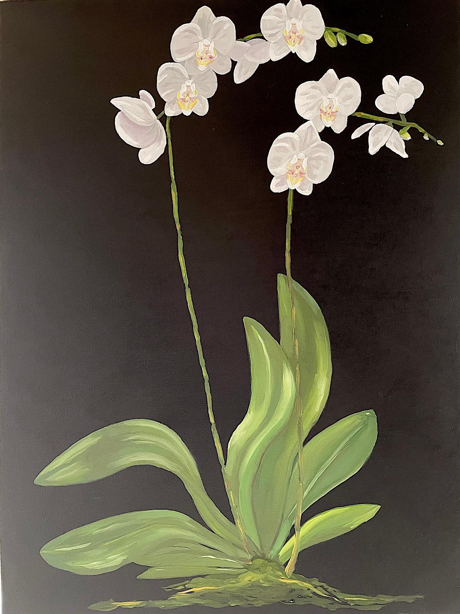 White Petals Standing on Tall Stems over Green Leaves. Title - Orchids For Sale 2