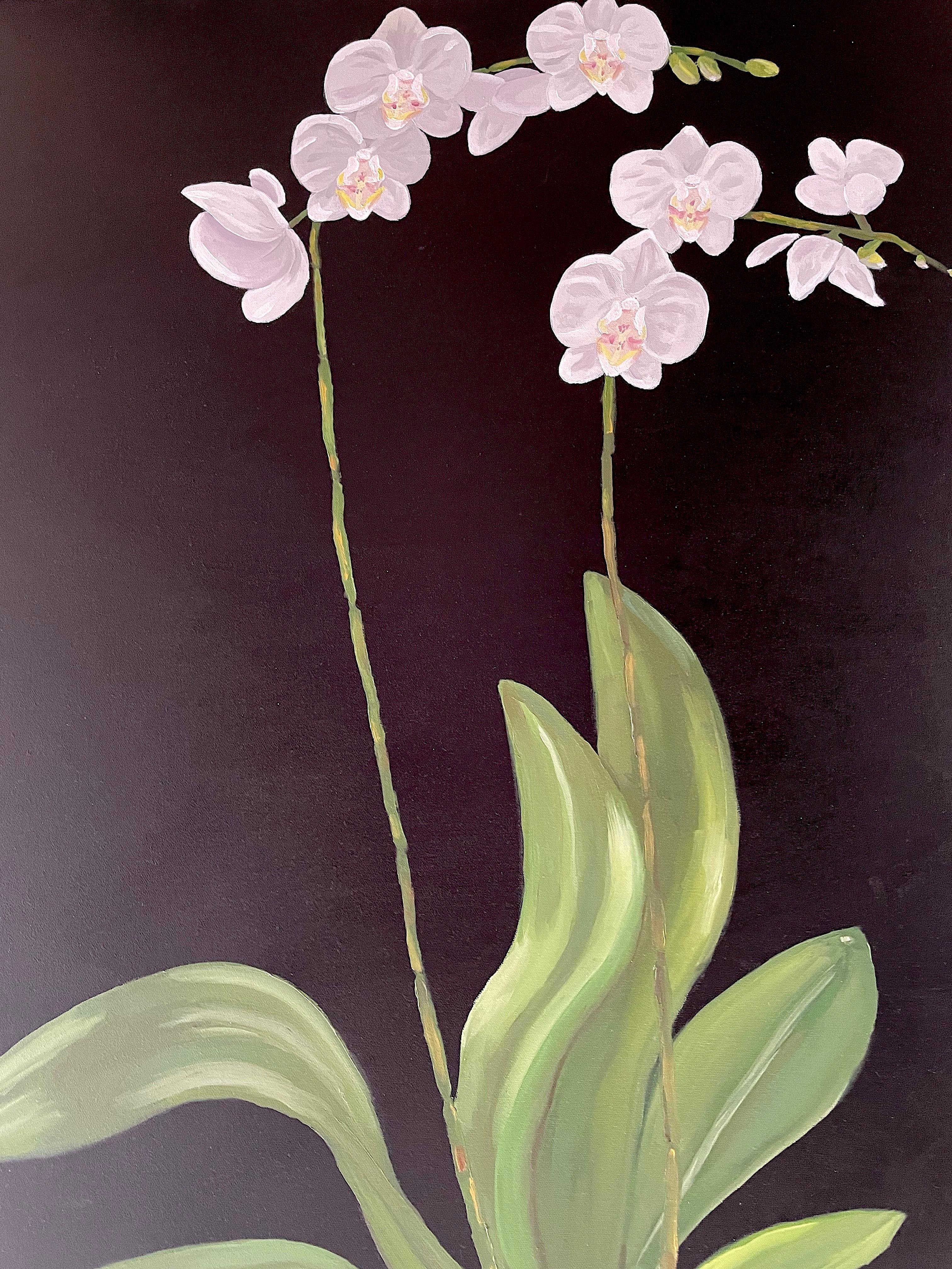 White Petals Standing on Tall Stems over Green Leaves. Title - Orchids For Sale 3