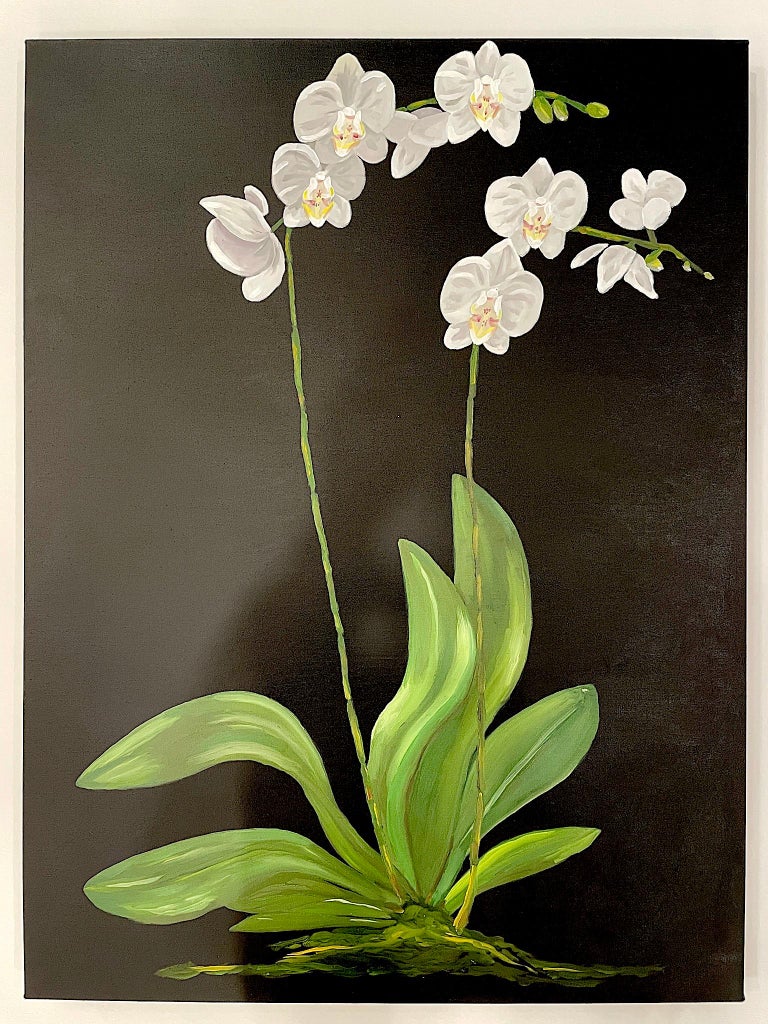 White Petals Standing on Tall Stems over Green Leaves. Title - Orchids For Sale 5