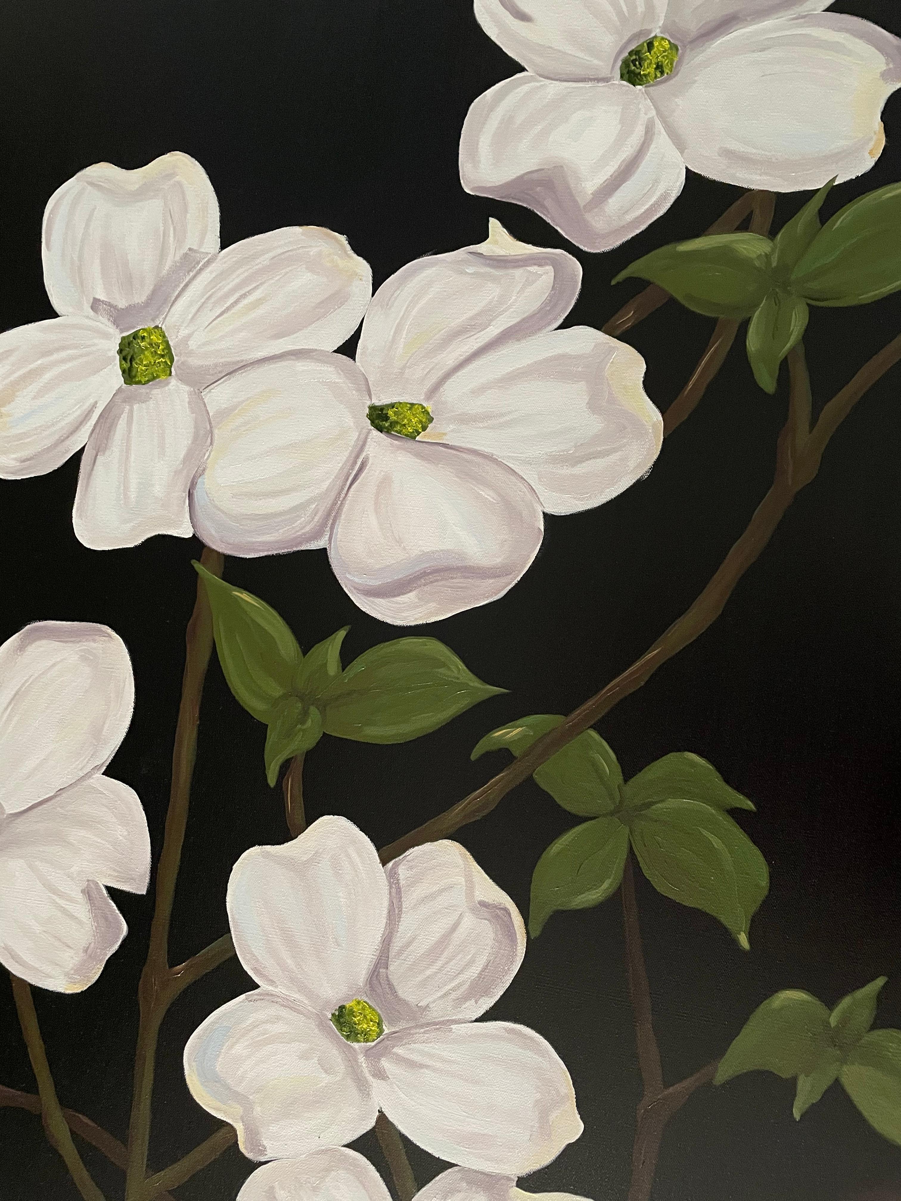 From the artist's recent flower series. Wild dogwood with white flowers and green leaves on branches boldly set against a black background. Oil on canvas painted by American realist Ken Miller. Suitable for display in a home interior, recreation
