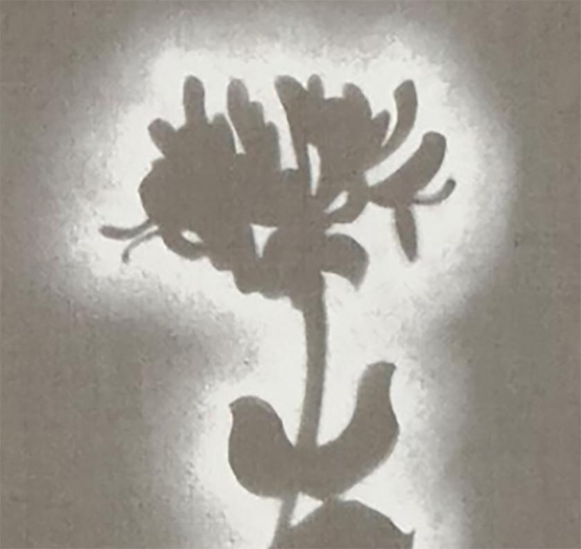 Avant Garden n° 25 - Contemporain Art par Vanessa Platacis