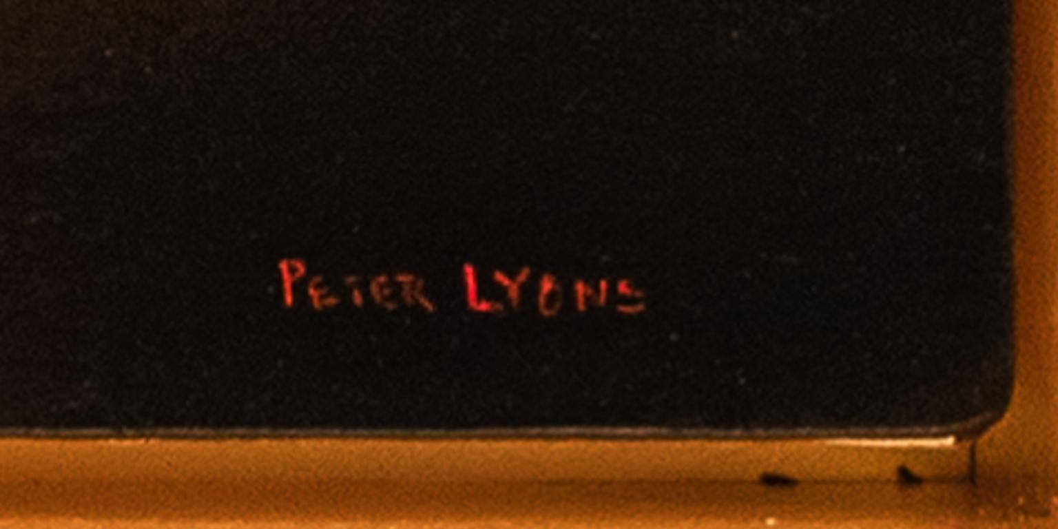 peter lyons artist