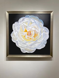 Ora Sorensen, "White Rose", Photorealistic Flower Oil Painting on Canvas