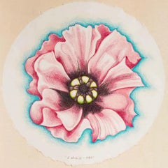 Pink Poppy, Lowell Nesbitt - Drawing