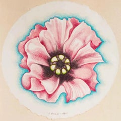 Vintage Pink Poppy, Lowell Nesbitt - Drawing