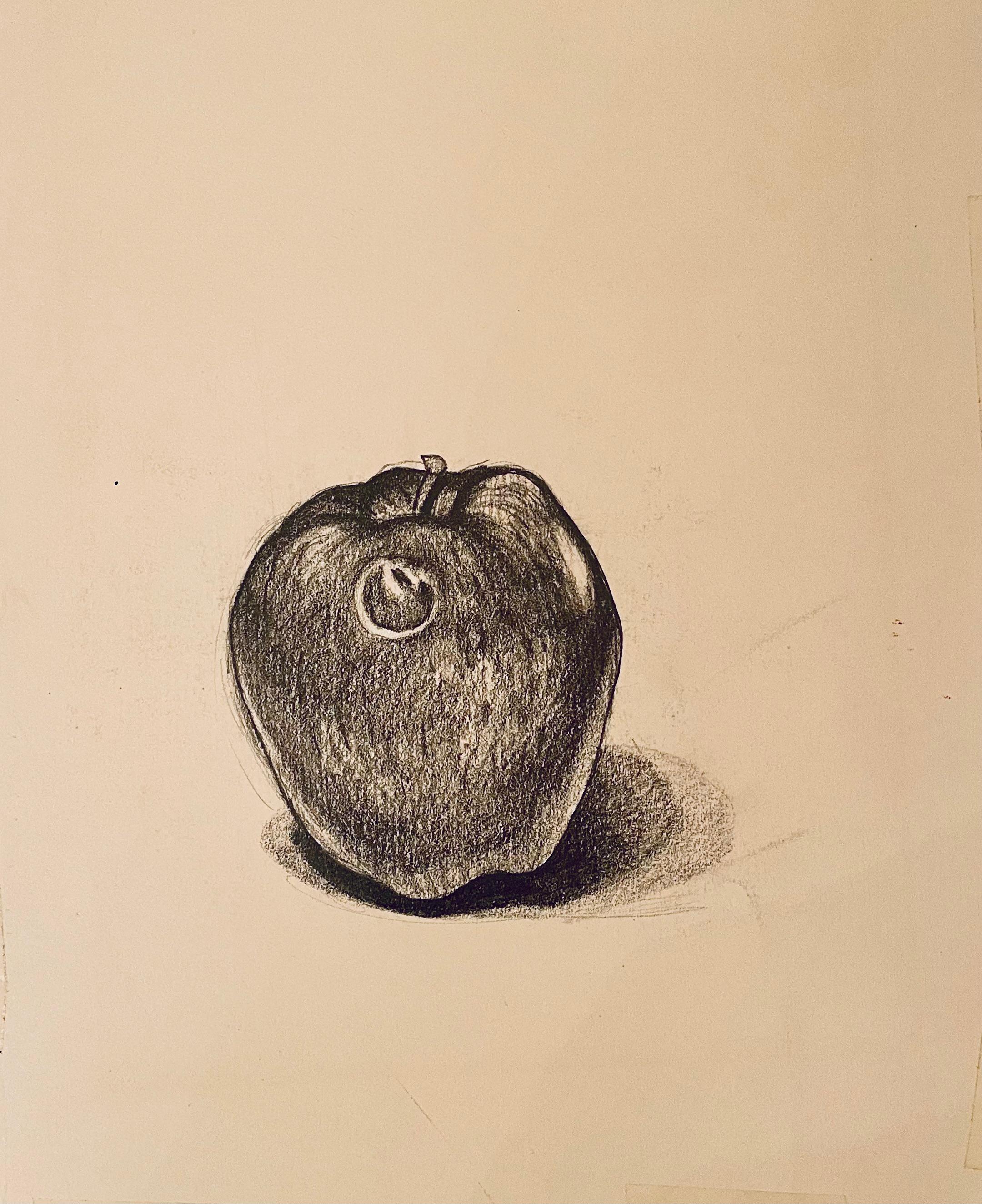 (Apfelstudie) Ohne Titel, 1985, Ian Hornak - Zeichnung