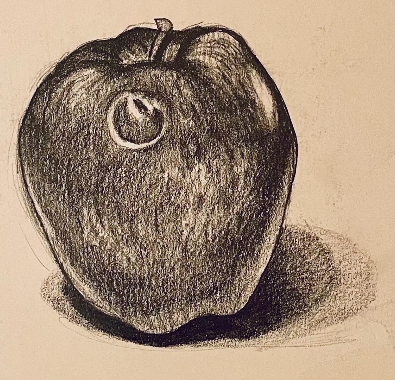 (Apple Study) Untitled, 1985, Ian Hornak — Drawing For Sale 1