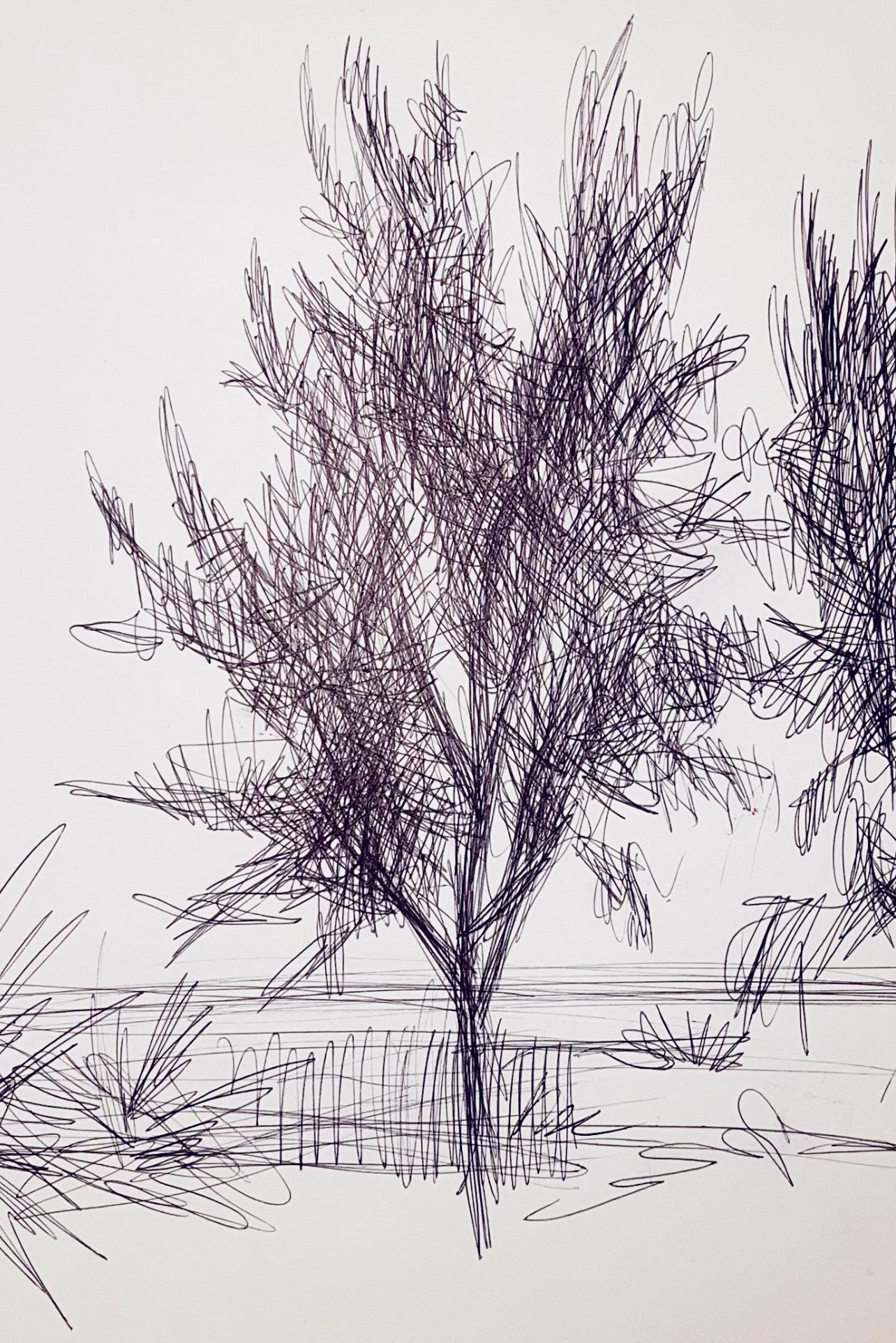 (Abstract Landscape with Trees) Untitled, 2001, Ian Hornak — Drawing For Sale 1
