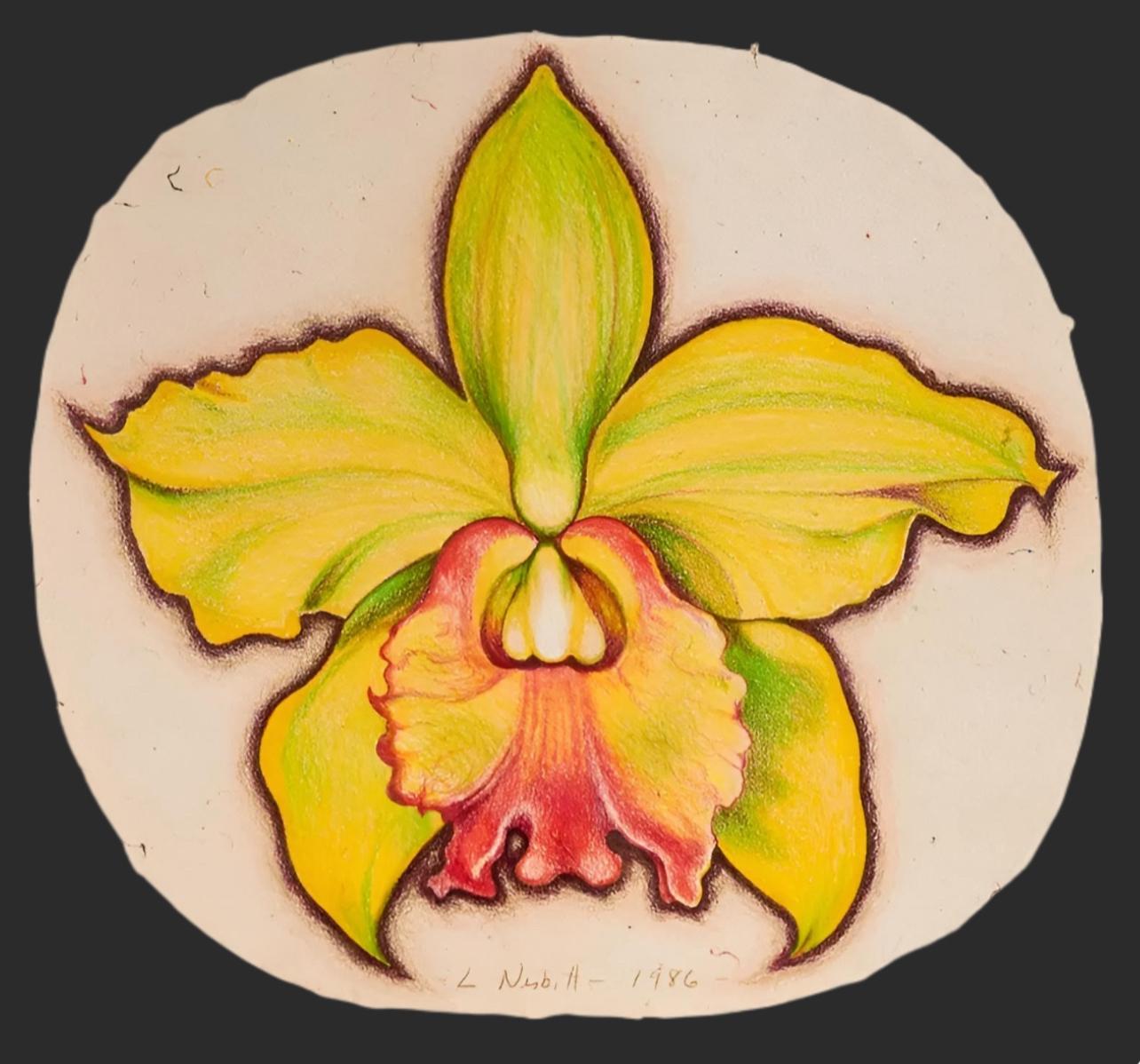 Green Orchid, Lowell Nesbitt - Drawing