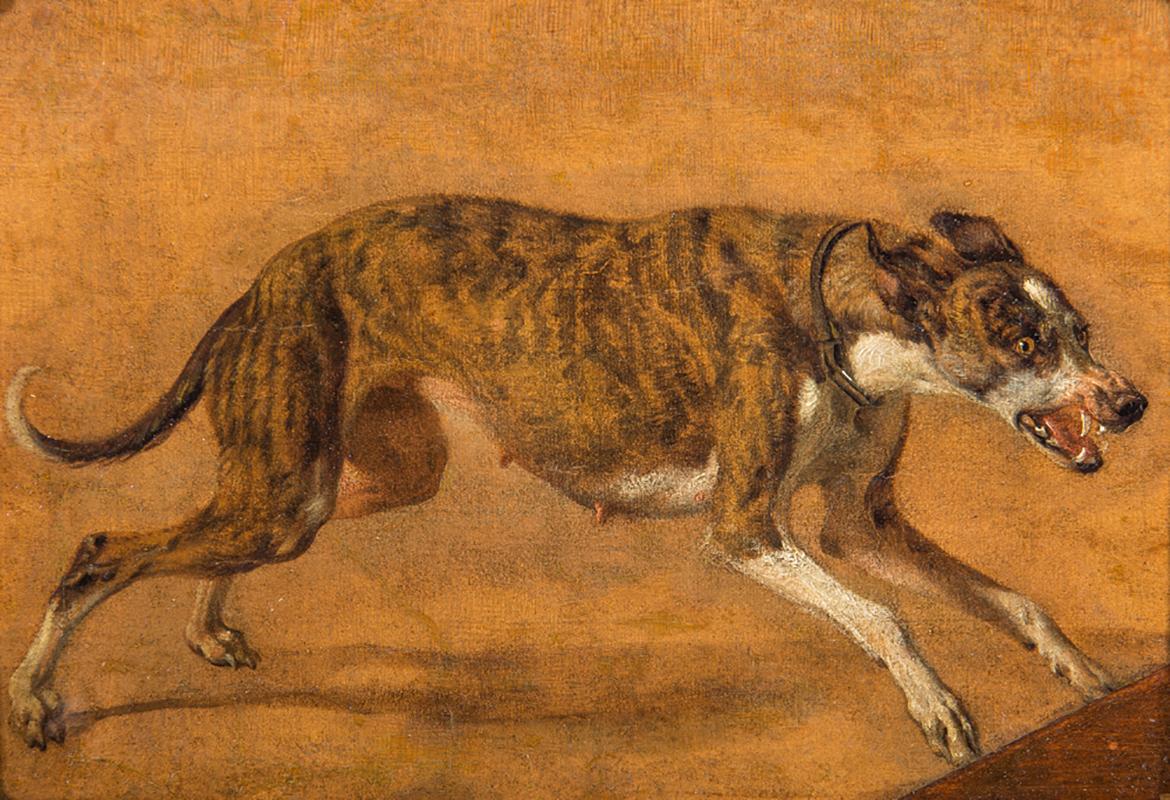 Ludolf de Jongh Animal Painting – Studie eines Hundes