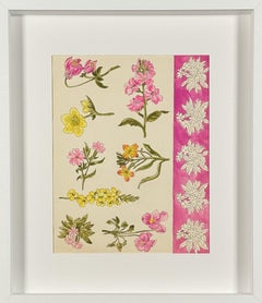 Ohne Titel 2 aus der Blumenserie