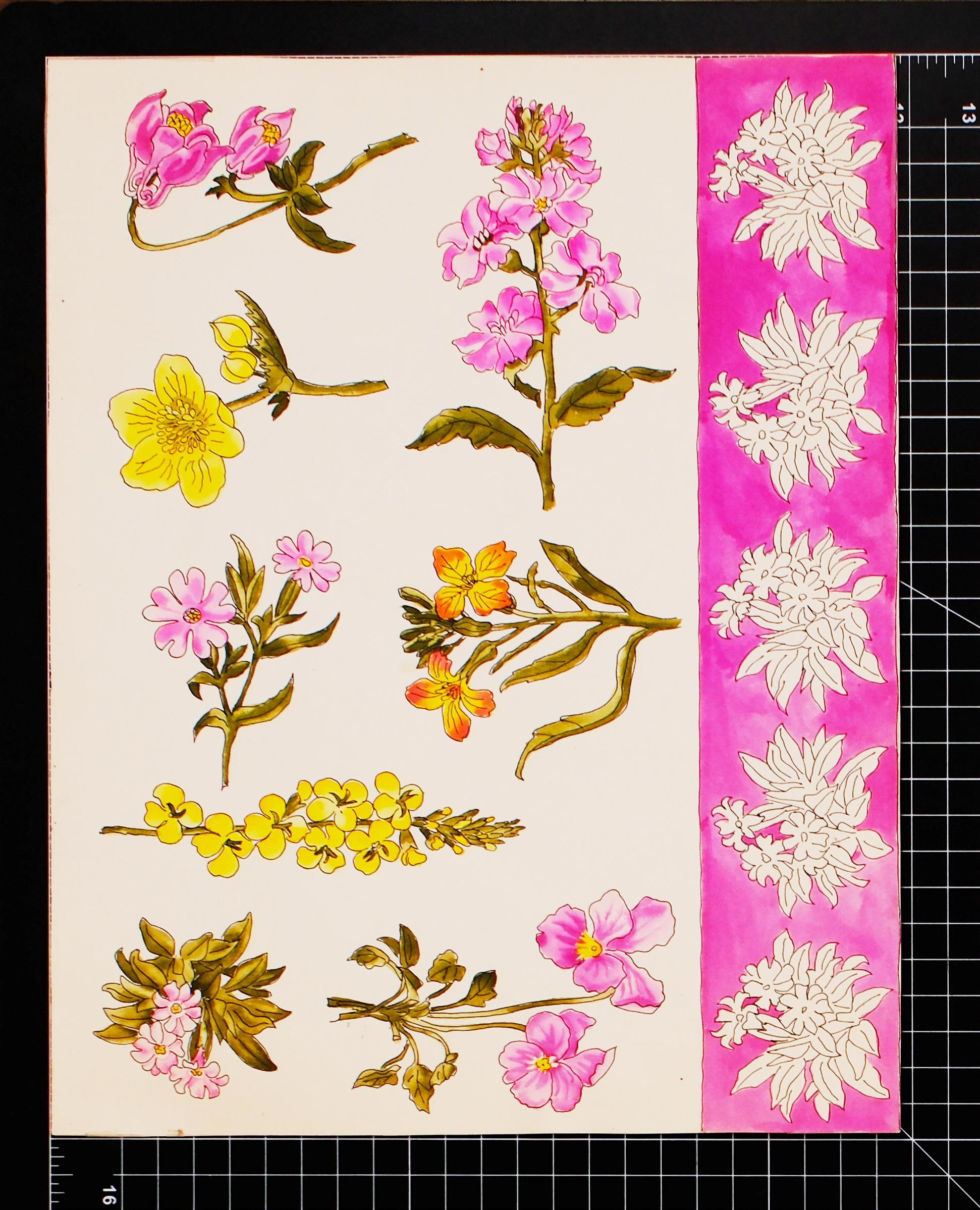 Ohne Titel 2 aus der Blumenserie – Art von Vera Neumann