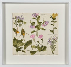 Vera Paints a Victorian Garden