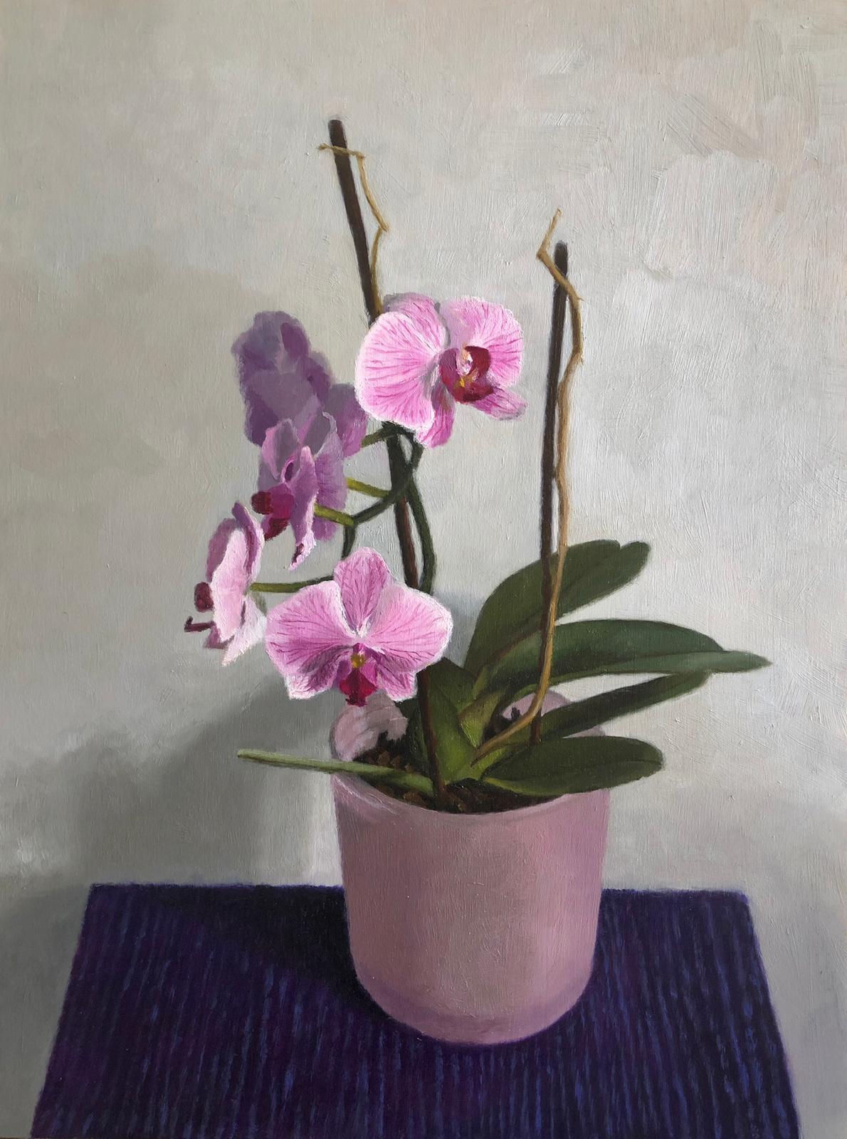 Chani Cohen Zada
Orchideen
öl auf Platte  
40 x 30 cm
16 x 12 Zoll

"Eines der Haupthindernisse, auf das ein Anfänger stößt, wenn er aus der Beobachtung heraus malen will, ist ein konzeptioneller Konflikt. Das liegt daran, dass alles aus zwei Dingen