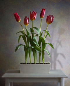 Albert Benaroya (Italien), Rote Tulpen, Öl auf Leinwand, 81x56 cm 