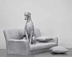 The Dog Series: Sitting on the Sofa