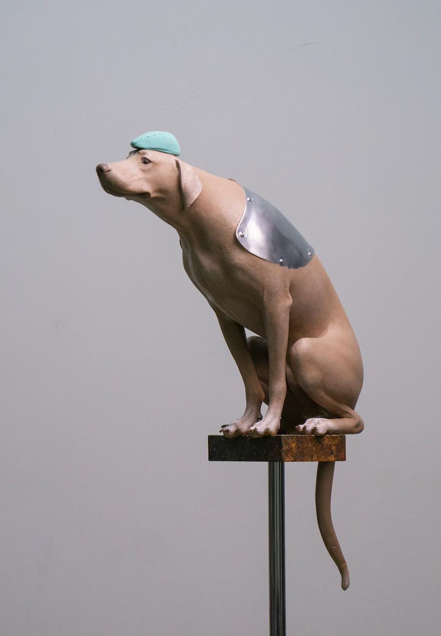 Size: 52 x 95 x 13cm
Media: Bronze (Paper Clay: The Hat & Ball)
Limited Edition: 8
Signature: Artist Name & Numbered

About The Dog Series:
Graduated with a bachelor’s degree in Fine Arts from Tsinghua University. The artist Li Shengzeng is a dog