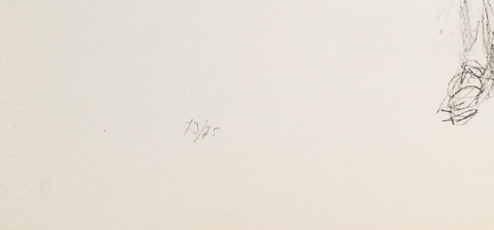 Lithographie auf BFK Rives, 1961.  Vom Künstler rechts unten mit Bleistift signiert und links unten mit Bleistift nummeriert: 73/75.  Herausgegeben von Maeght Editeur, Paris.

Referenz des Catalogue raisonne: Lust 36.
