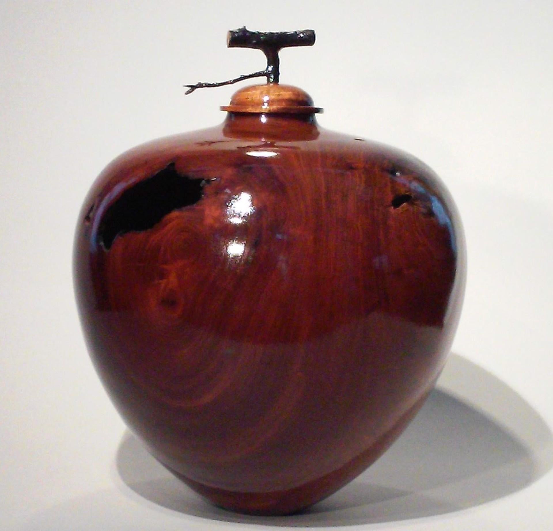 Charles Farrar Figurative Sculpture - Hollow Vessel w/ Apple Tree Twig Lid- Hand Carved Glossed Golden Mahogany Vessel